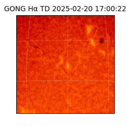 gong - 2025-02-20T17:00:22