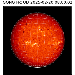 gong - 2025-02-20T08:00:02