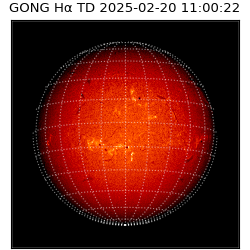 gong - 2025-02-20T11:00:22