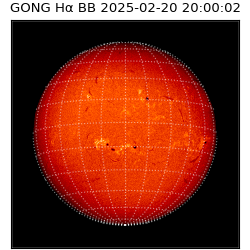 gong - 2025-02-20T20:00:02