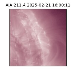 saia - 2025-02-21T16:00:11.940000