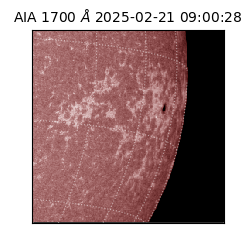 saia - 2025-02-21T09:00:28.718000