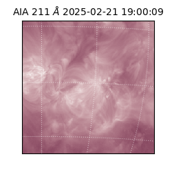 saia - 2025-02-21T19:00:09.631000
