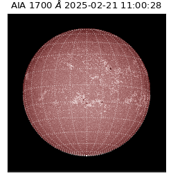 saia - 2025-02-21T11:00:28.717000