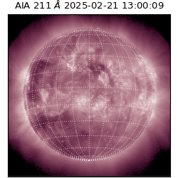 saia - 2025-02-21T13:00:09.626000