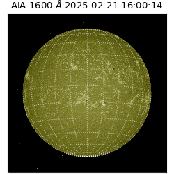 saia - 2025-02-21T16:00:14.125000