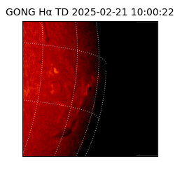 gong - 2025-02-21T10:00:22