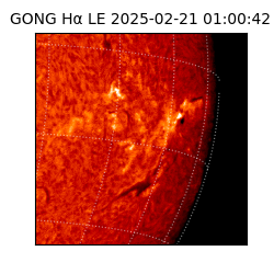 gong - 2025-02-21T01:00:42