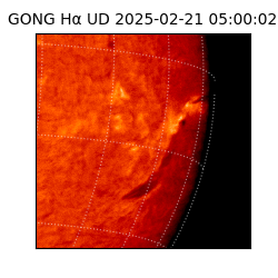 gong - 2025-02-21T05:00:02