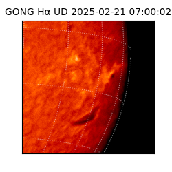 gong - 2025-02-21T07:00:02