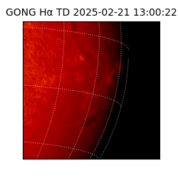 gong - 2025-02-21T13:00:22