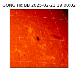 gong - 2025-02-21T19:00:02