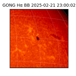 gong - 2025-02-21T23:00:02