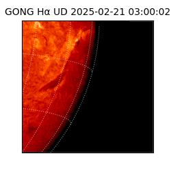 gong - 2025-02-21T03:00:02