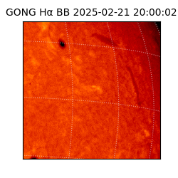 gong - 2025-02-21T20:00:02