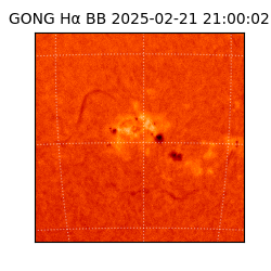 gong - 2025-02-21T21:00:02
