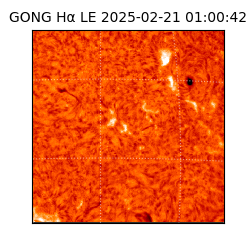 gong - 2025-02-21T01:00:42