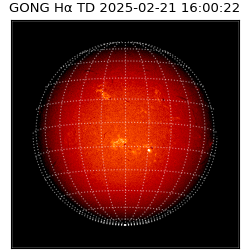 gong - 2025-02-21T16:00:22