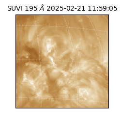 suvi - 2025-02-21T11:59:05.555000