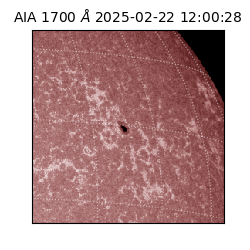 saia - 2025-02-22T12:00:28.741000