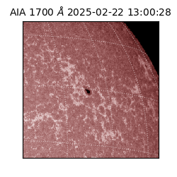 saia - 2025-02-22T13:00:28.717000