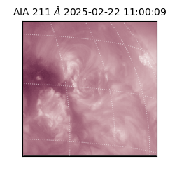 saia - 2025-02-22T11:00:09.630000