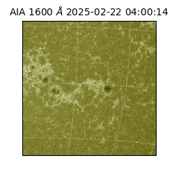 saia - 2025-02-22T04:00:14.121000