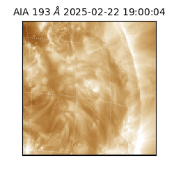 saia - 2025-02-22T19:00:04.843000