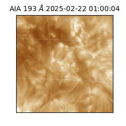 saia - 2025-02-22T01:00:04.843000