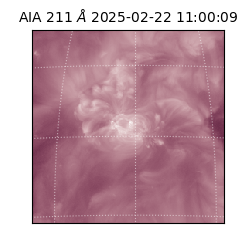 saia - 2025-02-22T11:00:09.630000