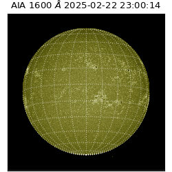 saia - 2025-02-22T23:00:14.117000