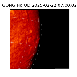 gong - 2025-02-22T07:00:02