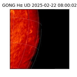gong - 2025-02-22T08:00:02