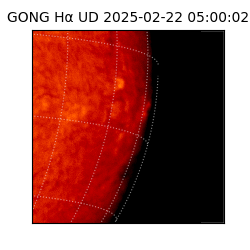 gong - 2025-02-22T05:00:02