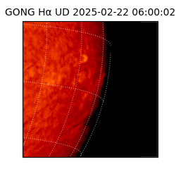 gong - 2025-02-22T06:00:02