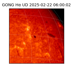 gong - 2025-02-22T06:00:02