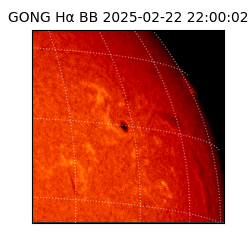 gong - 2025-02-22T22:00:02