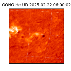 gong - 2025-02-22T06:00:02