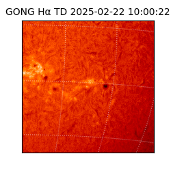 gong - 2025-02-22T10:00:22