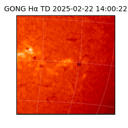 gong - 2025-02-22T14:00:22