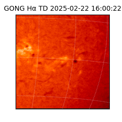 gong - 2025-02-22T16:00:22