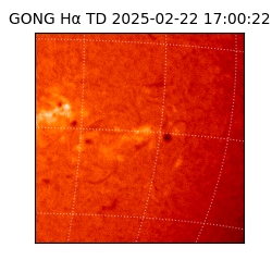 gong - 2025-02-22T17:00:22
