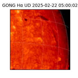 gong - 2025-02-22T05:00:02