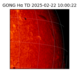 gong - 2025-02-22T10:00:22