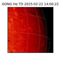 gong - 2025-02-22T14:00:22