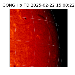 gong - 2025-02-22T15:00:22