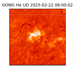gong - 2025-02-22T08:00:02