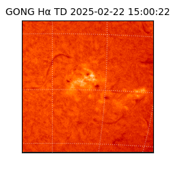 gong - 2025-02-22T15:00:22