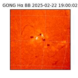 gong - 2025-02-22T19:00:02