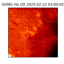 gong - 2025-02-22T03:00:02